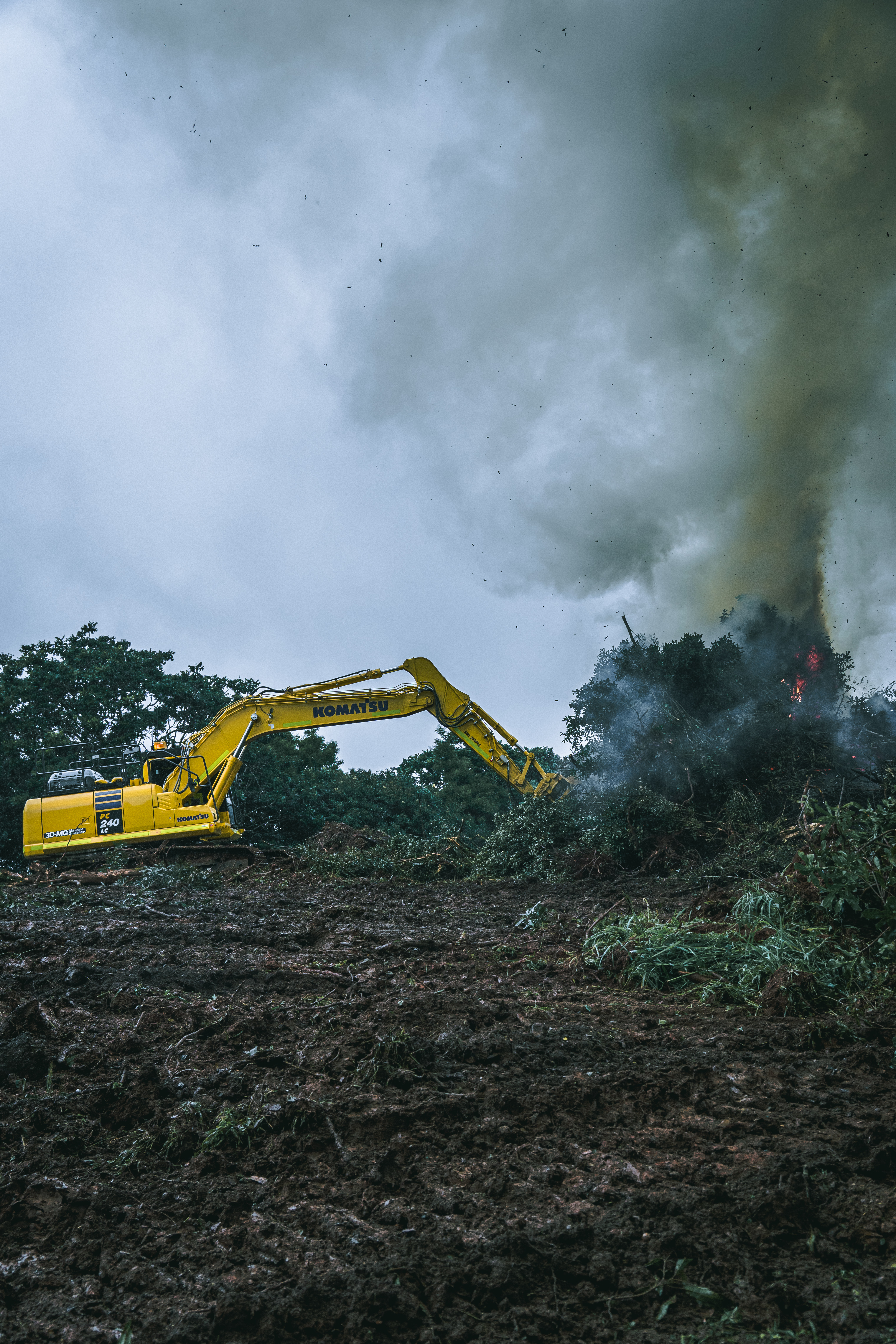 Land management project