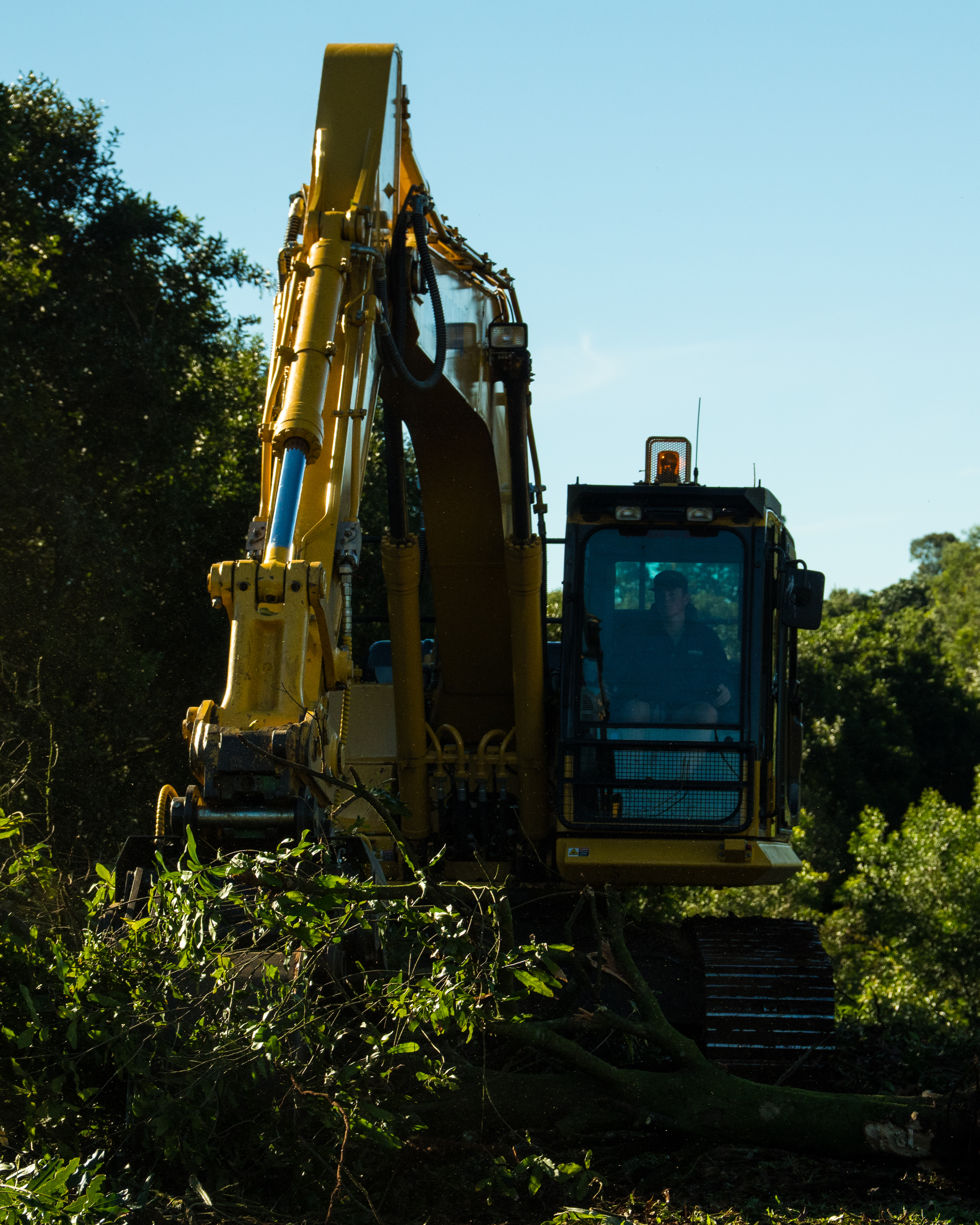 Excavator in dense vegetation