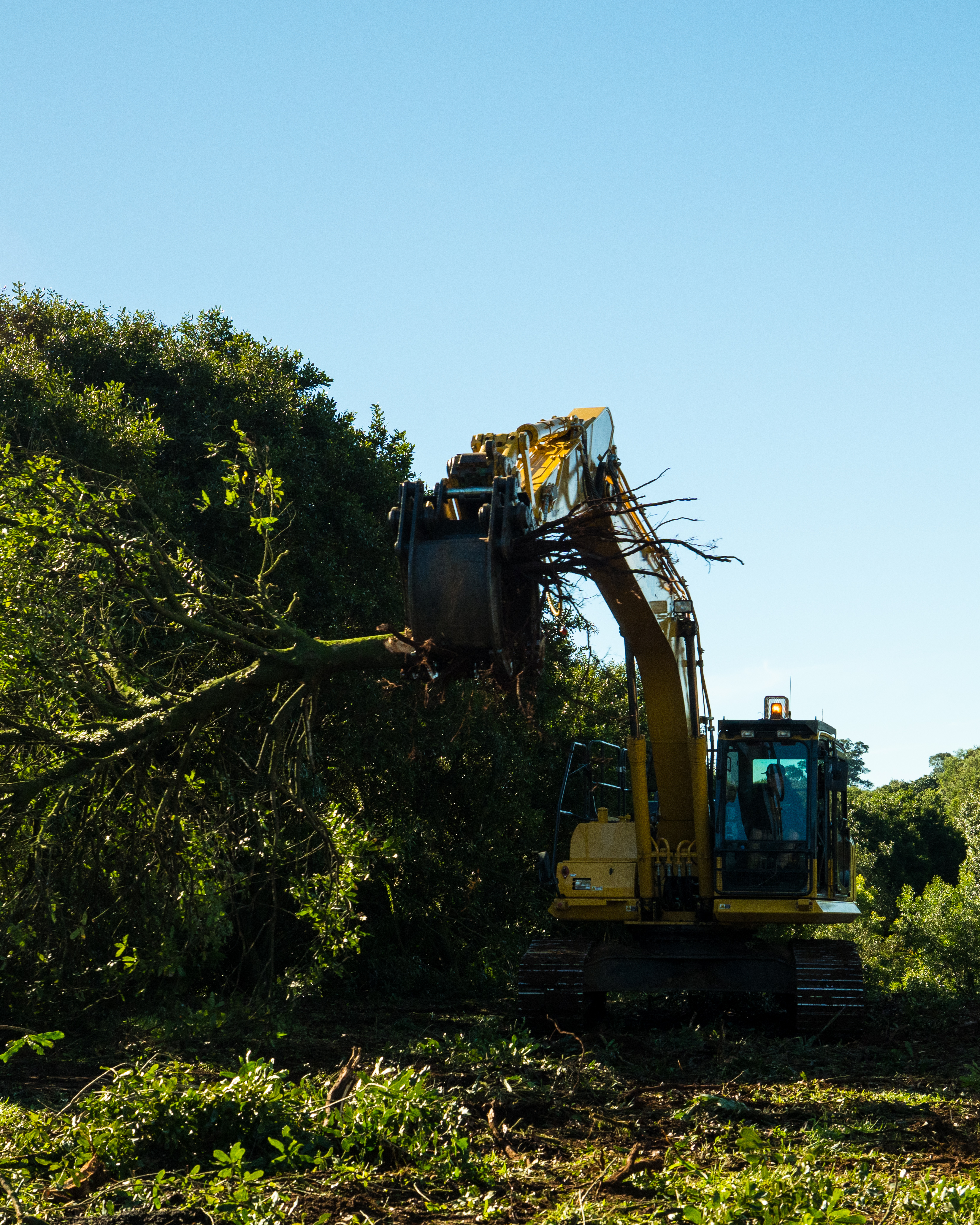 JMS Land Management excavator at work